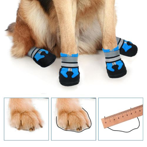 Botas Protectoras para Perro Todoterreno