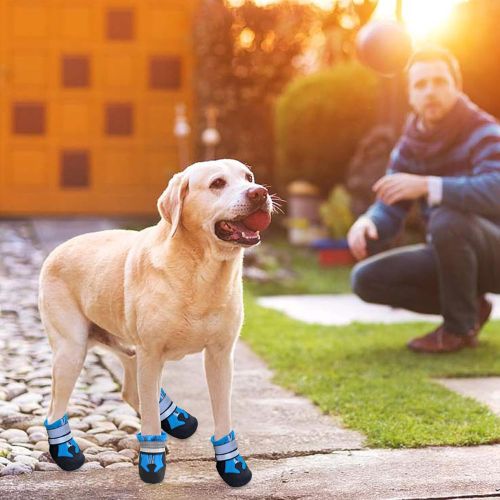 Botas Protectoras para Perro Todoterreno