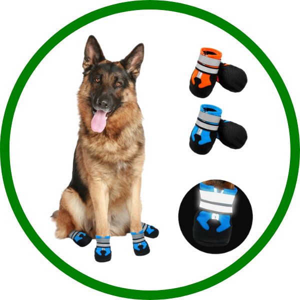 Botas protectoras para perros