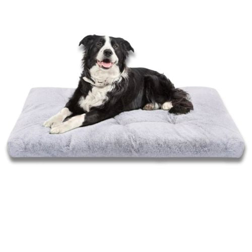 Cama Ortopédica Premium para Perro