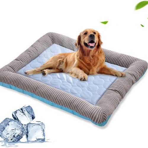 Cama de Verano para Perros