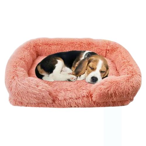 Cama de Perro Ortopédica Deluxe