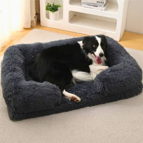 Cama de Perro Ortopédica Deluxe