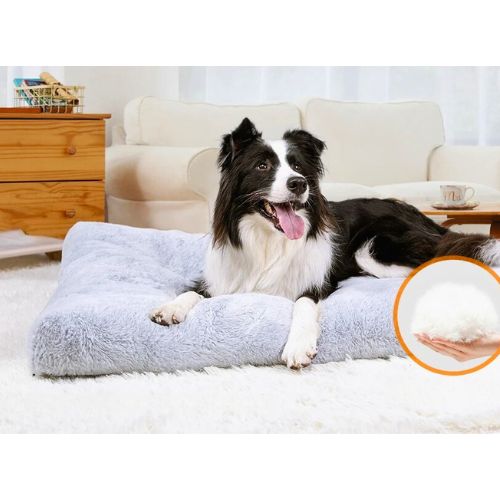 Cama Ortopédica Premium para Perro