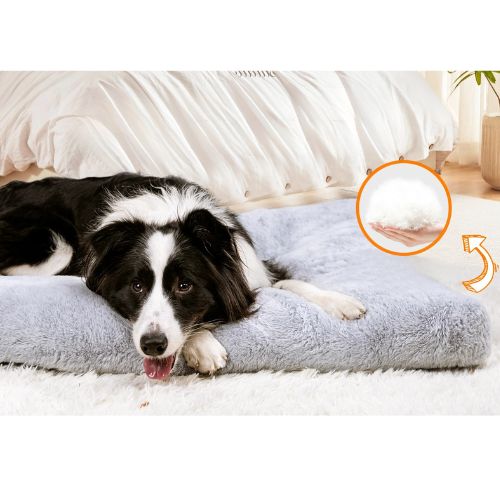 Cama Ortopédica Premium para Perro