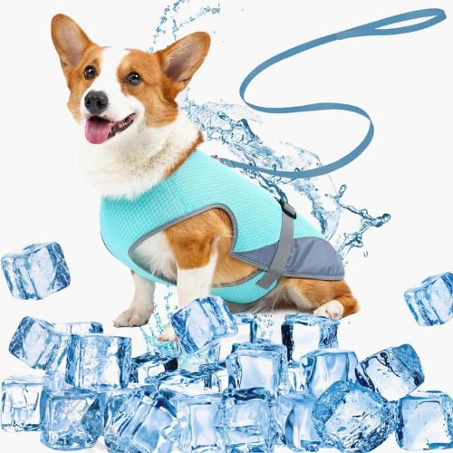 Chaleco Refrescante para Perros