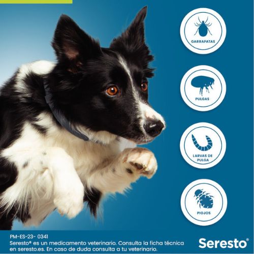 Collar Antiparasitario para Perros