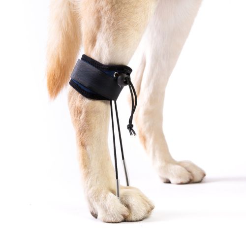Corrector propioceptivo para Perro