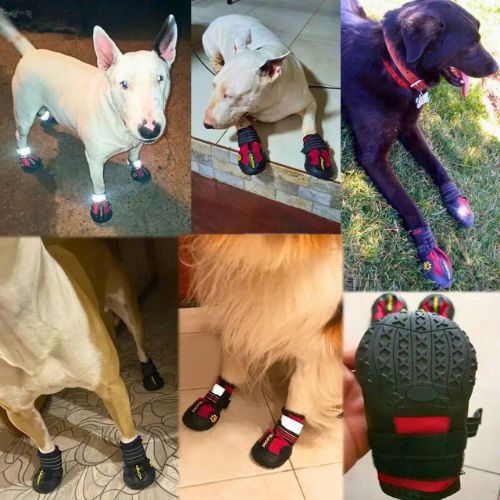 Botas protectoras para Perros