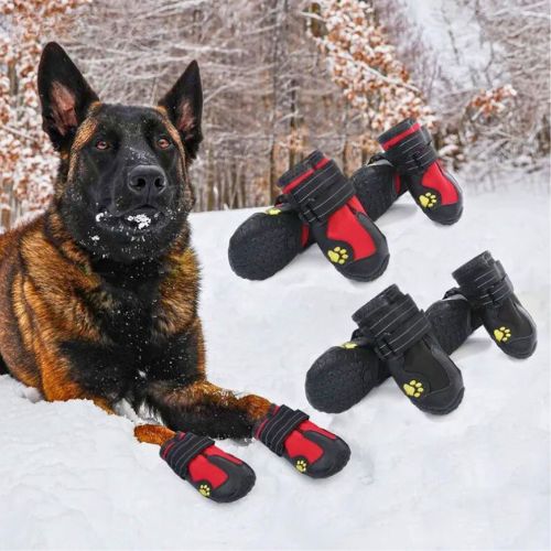 Botas protectoras para Perros