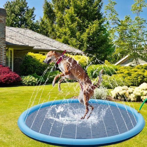 Piscina con Chorros para Perros