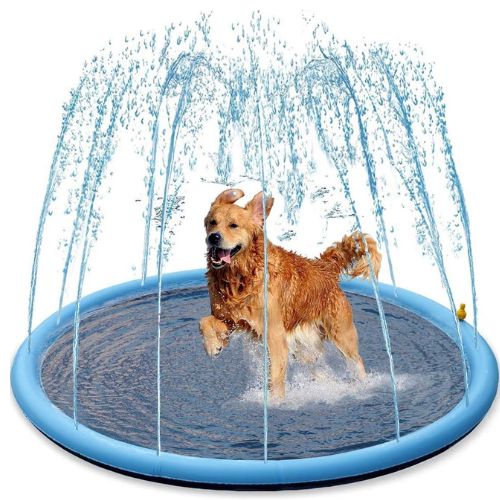 Piscina con Chorros para Perros