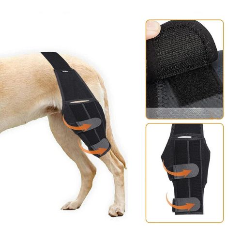 Soporte de Rodilla para Perros