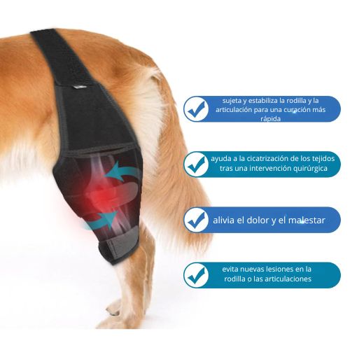 Soporte de Rodilla para Perros