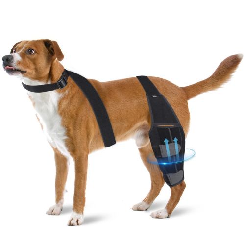 Soporte de Rodilla para Perros