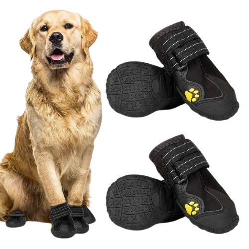 Botas protectoras para Perros